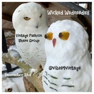 ❌ 12/31 WICKED WEDNESDAY VINTAGE FASHION SHARE GROUP